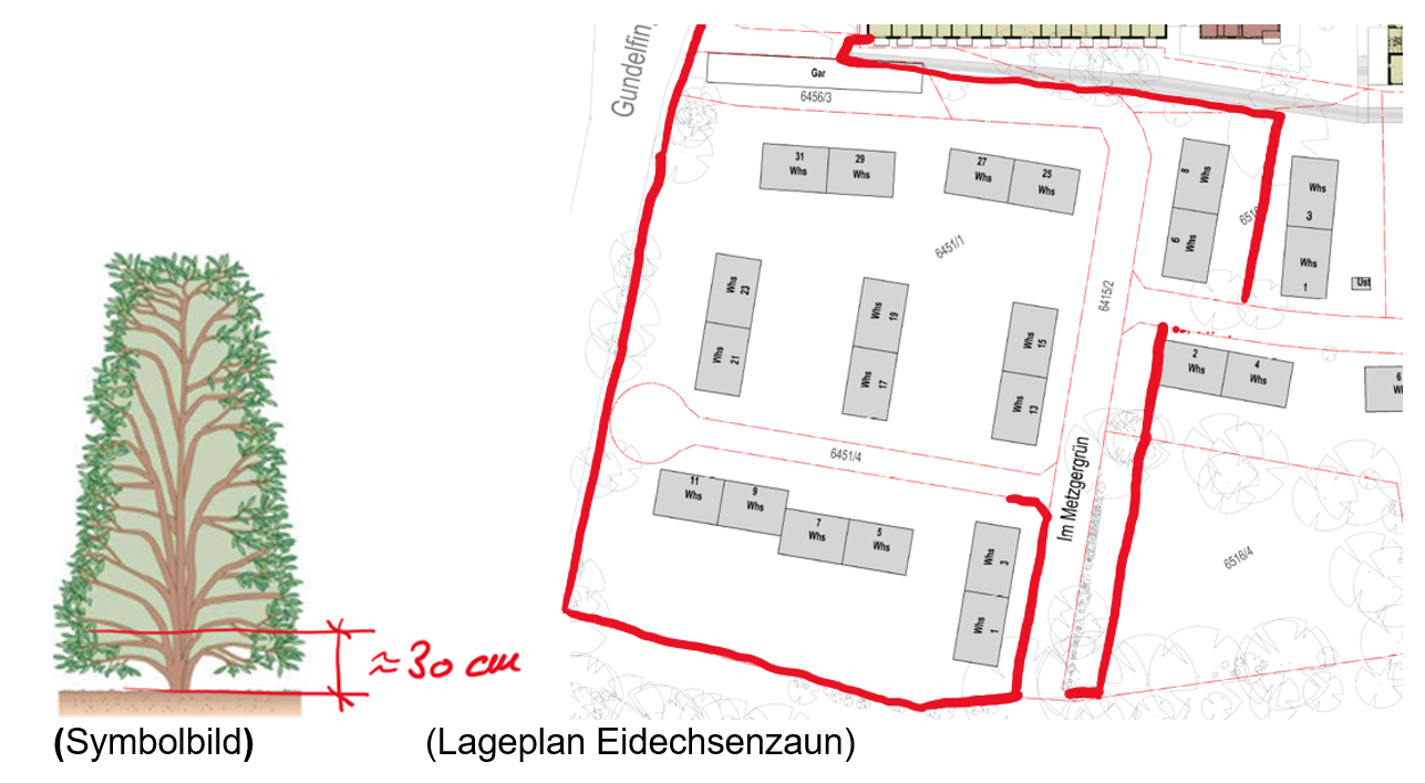 Lageplan von dem Eidechsenzaun
